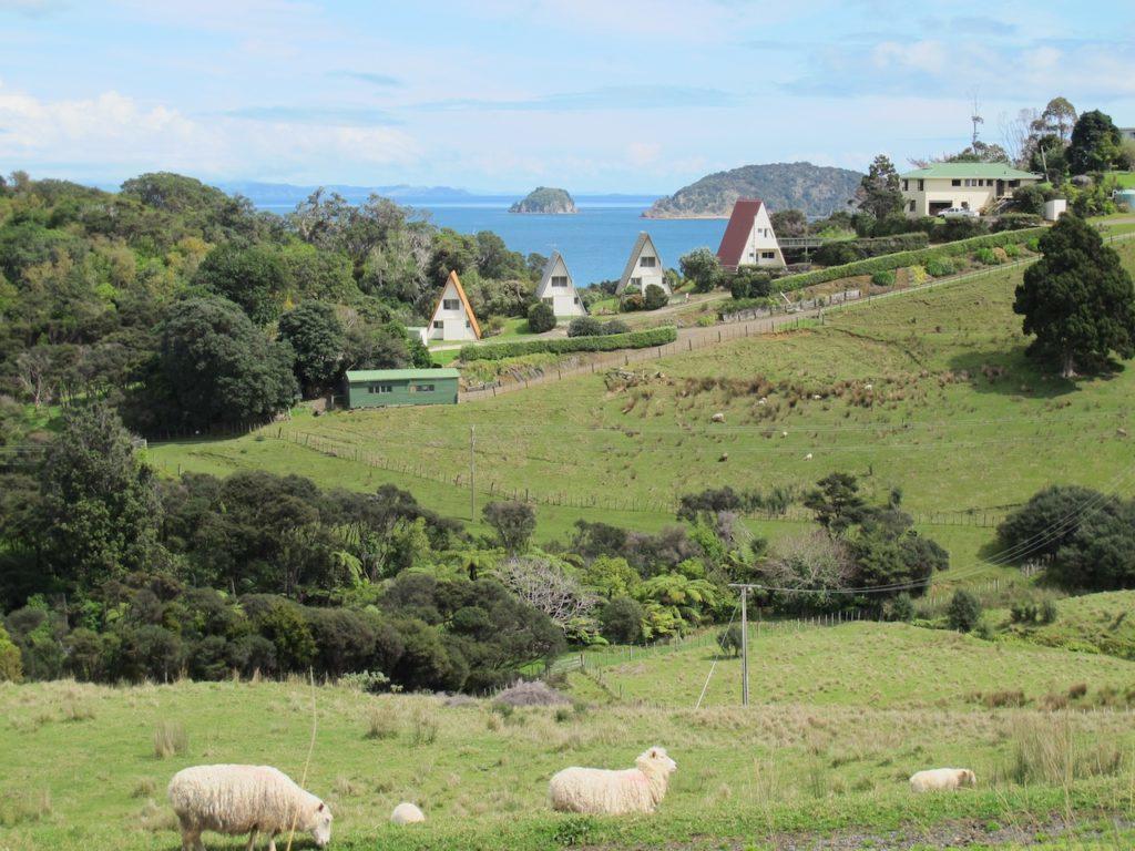Pohutukawa Coastal Chalets Coromandel Exterior foto